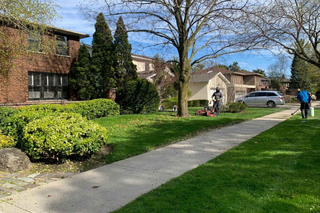 Lawn maintenance service in North York