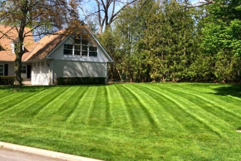 Lawn maintenance service in North York