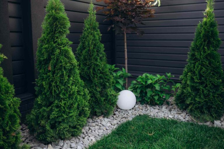 Lawn Maintenance and Design in North York