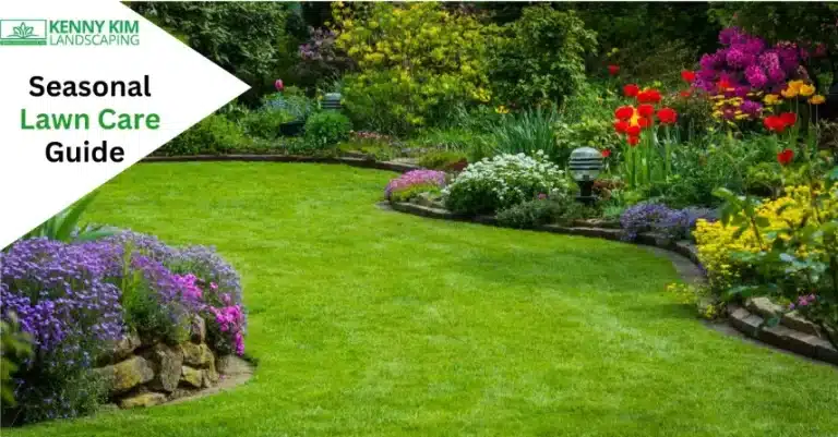 Your Seasonal Lawn Care Guide to a Vibrant Lawn