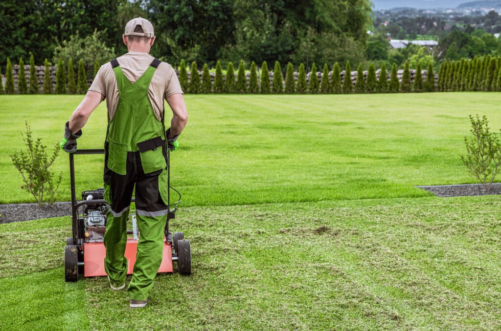 Best Lawn Maintenance Near Me