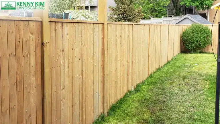 Fence Project 3