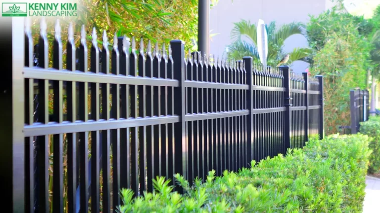 Fence Ideas And Trends