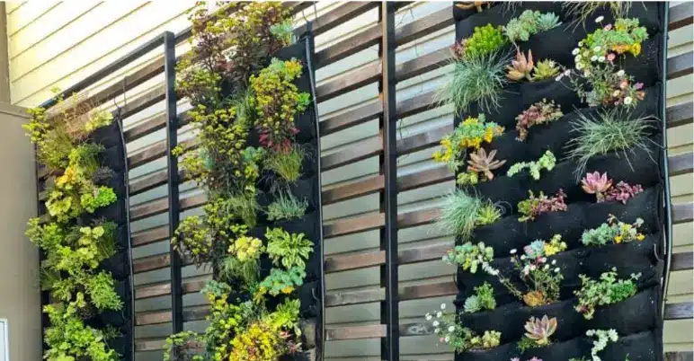 Construct a Living Wall