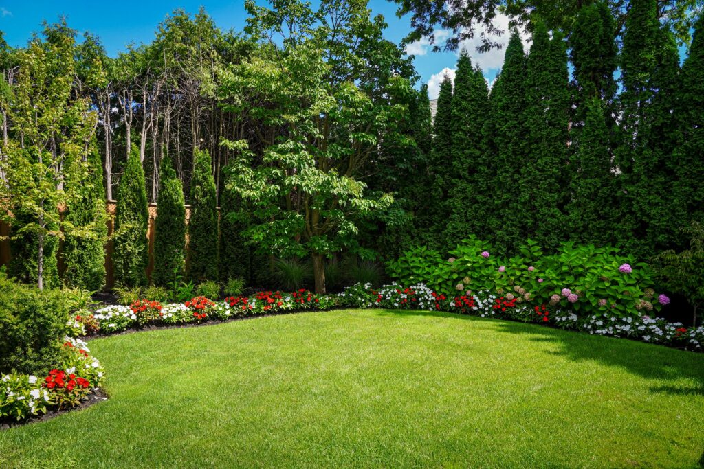 How to Find the Best Lawn Maintenance Near Me in Toronto?