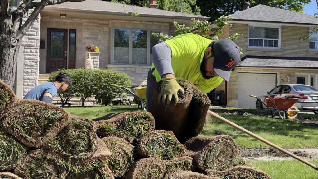 When Is the Best Time for Landscaping in Toronto?