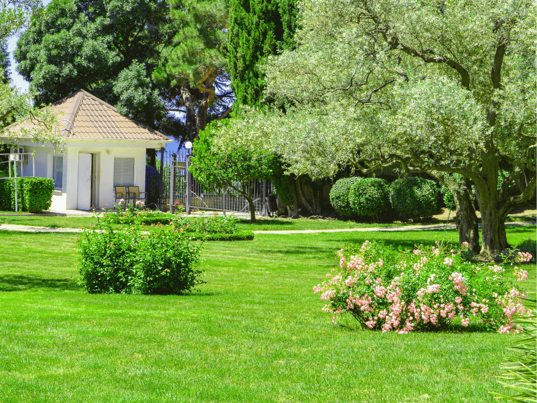 Landscaping toronto