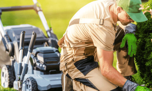 lawn maintenance service