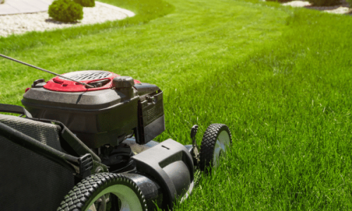 lawn mover